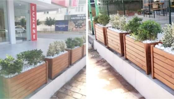 Balbadem Eczanesi - Saksı Çalışması