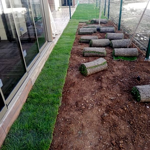rulo çim Bakı