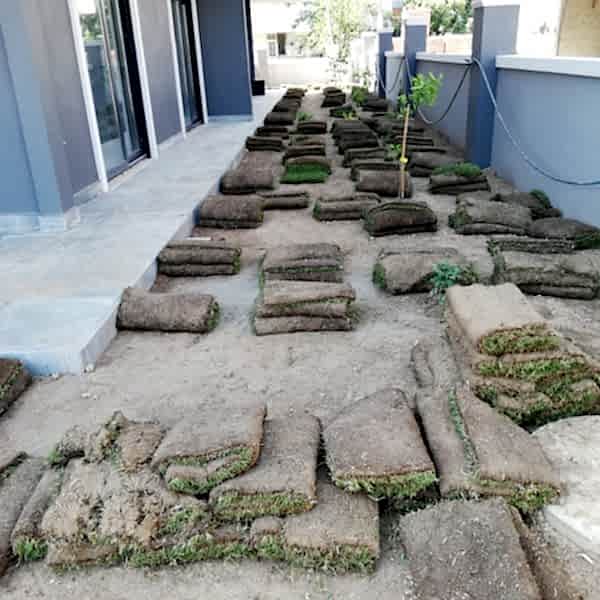 rulo çim Bakı